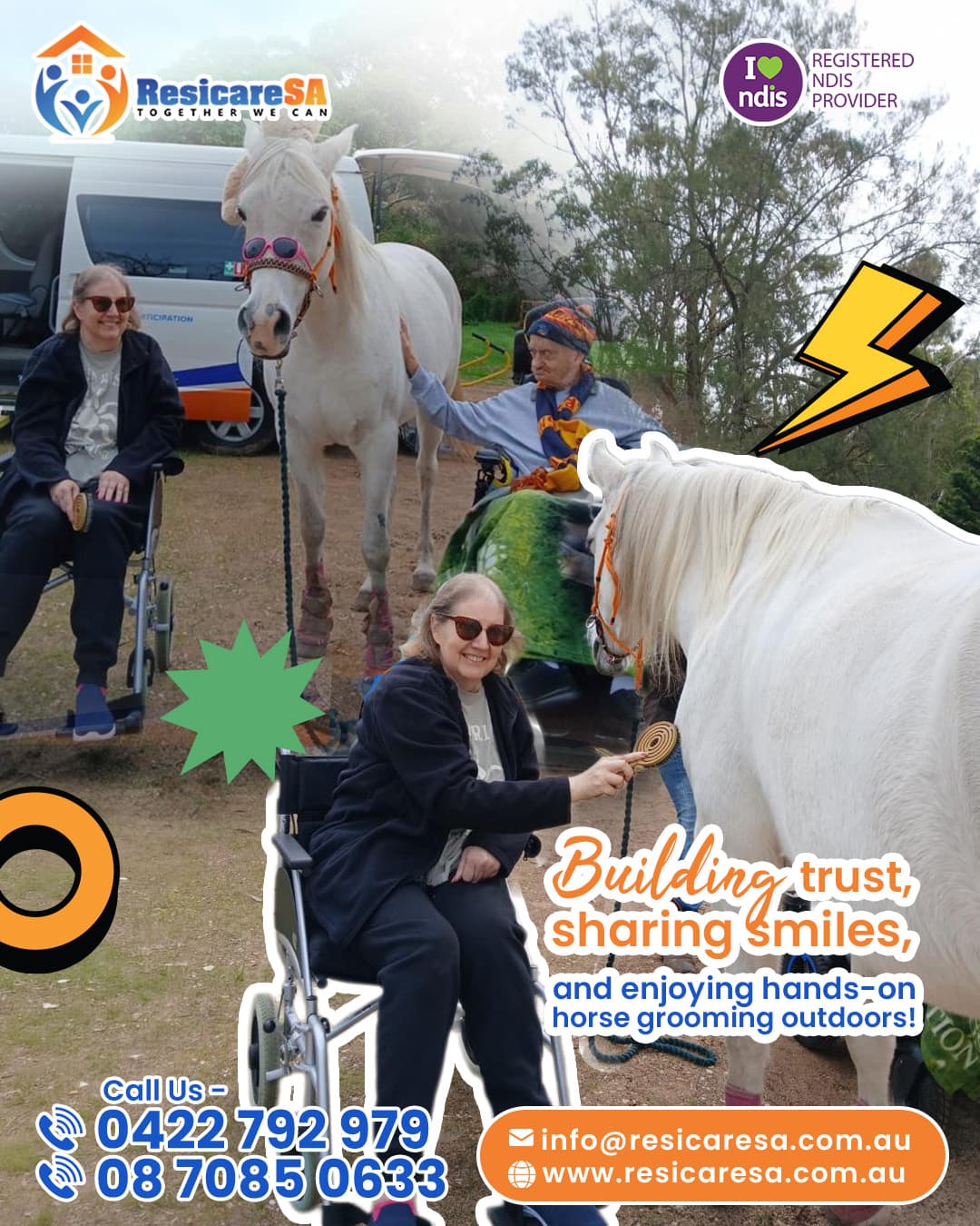 Participants enjoying a hands-on outdoor horse experience, including grooming and interacting with a horse.